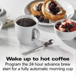 Hamilton Beach Home Hamilton Beach 12-Cup Professional Programmable Coffee Maker | Silver -Coffee Sales 71tkc vttl. ac sl1500