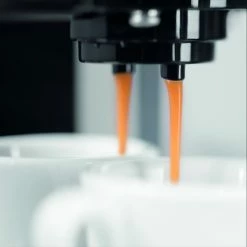 Gaggia Carezza Espresso Machine -Coffee Sales carezza brewing spouts ri8525 47