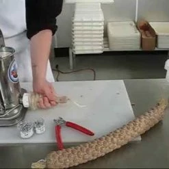 The Sausage Maker (TSM) The Sausage Maker 1lb 8oz Seasoning | Breakfast Sausage -Coffee Sales hqdefault 35 11