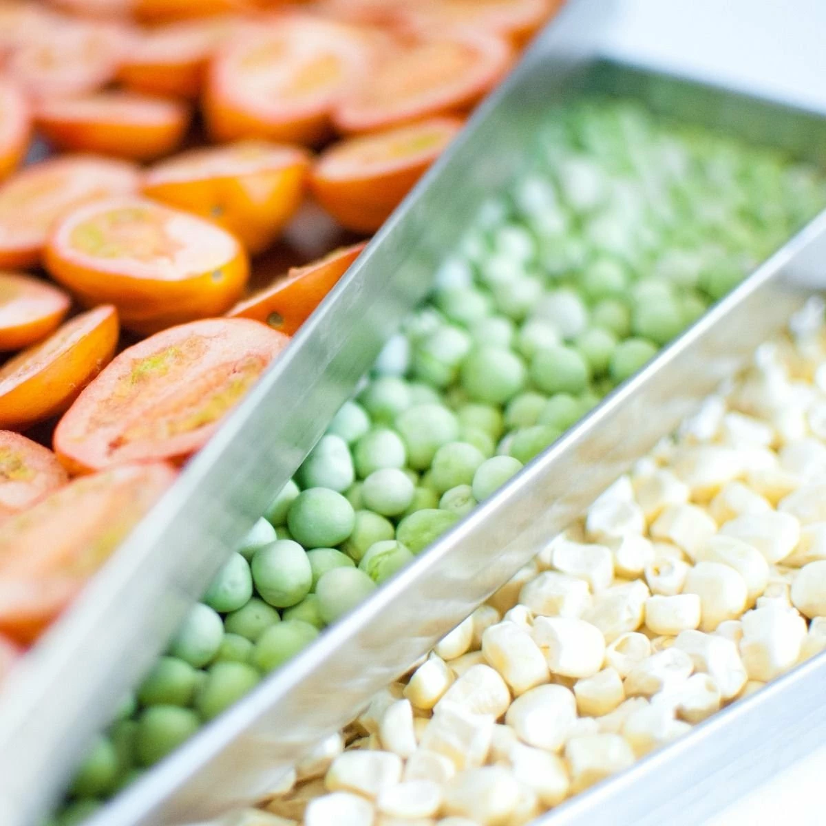 Harvest Right Medium Size Home Freeze Dryer | Black 3 Harvest Right Medium Size Home Freeze Dryer | Black - Image 3