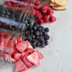 Harvest Right Medium Size Home Freeze Dryer | Black 8 Harvest Right Medium Size Home Freeze Dryer | Black -Coffee Sales hrss3 1