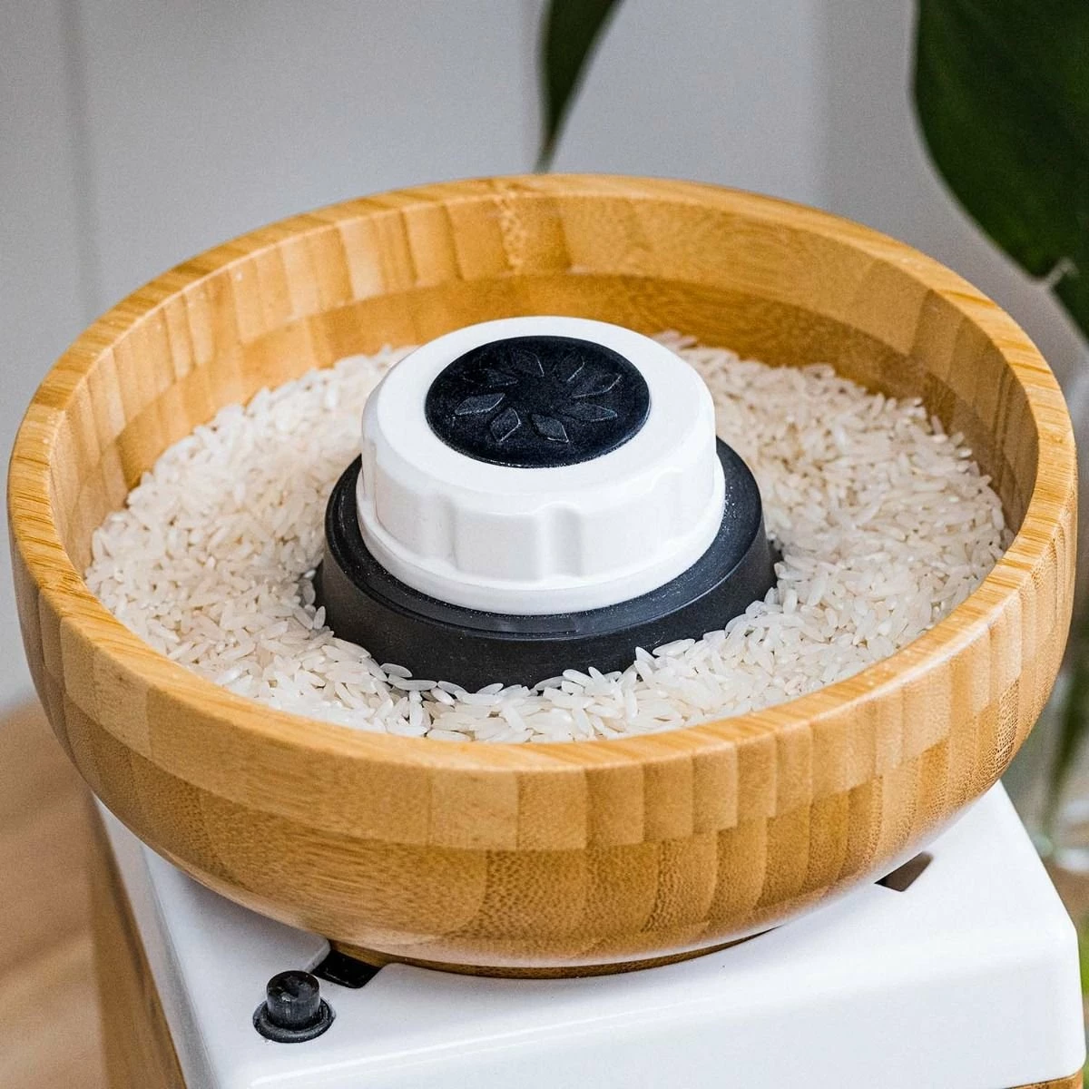 NutriMill Harvest Grain Mill | Powder Sugar White 3 NutriMill Harvest Grain Mill | Powder Sugar White - Image 3